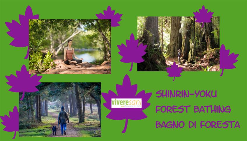Fai un 'bagno di foresta' per una vita sana Fai un 'bagno di foresta' per una vita sana
